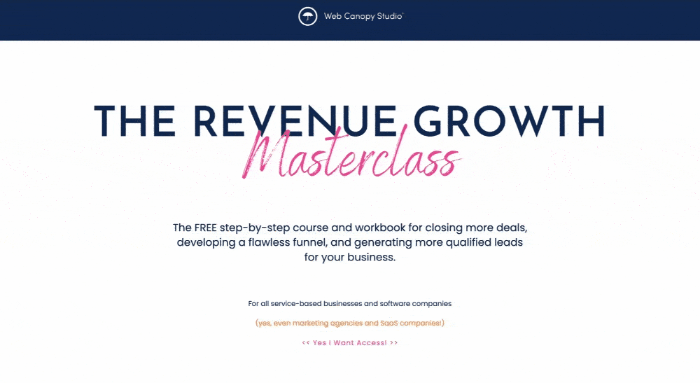 Revenue master class landing page gif