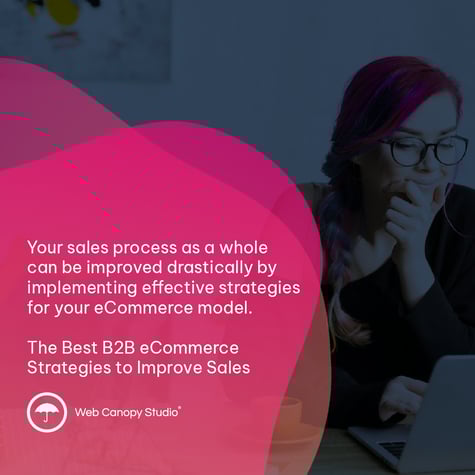 Your sales process as a whole can be improved drastically by implementing effective strategies for your eCommerce model. The Best B2B eCommerce Strategies to Improve Sales